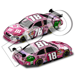 2008 Kyle Busch 1/24th M&M's "Susan G Komen" car